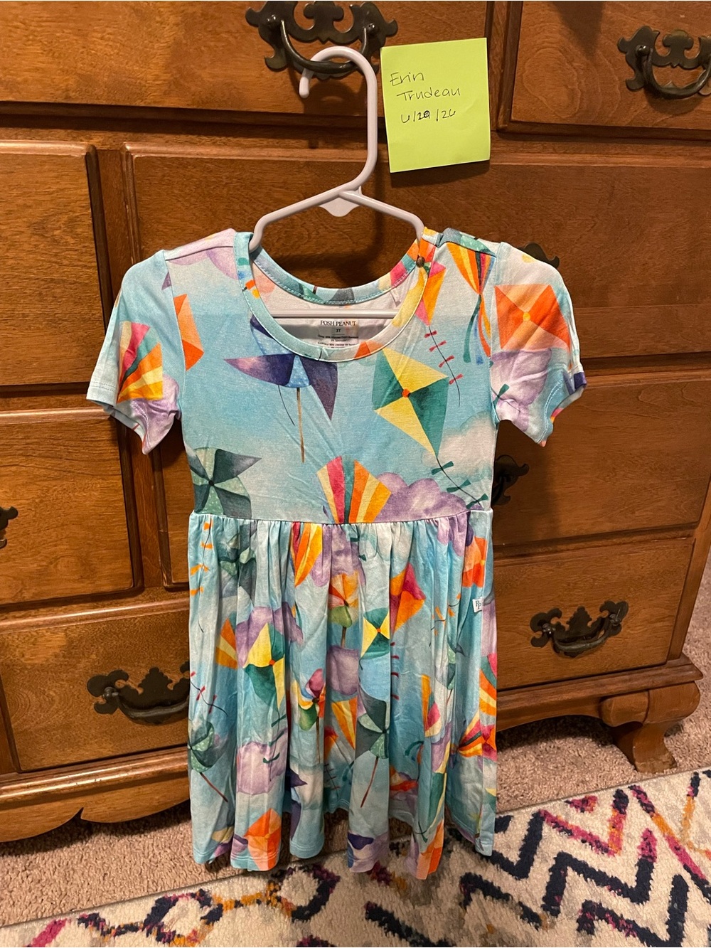 Posh Peanut Kites and Pinwheels Twirl Dress